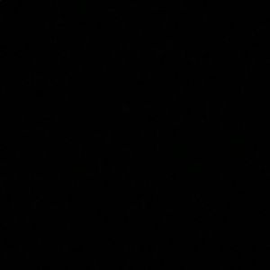 Meet your Posher, Tyra